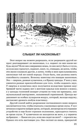 Занимательная зоология